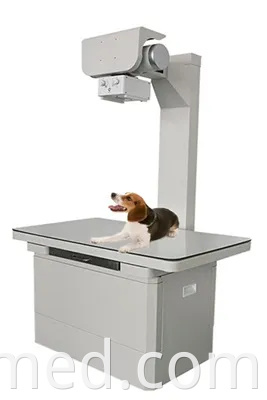 Advanced Veterinary Pet X Ray Machine for Diagnostic Imaging Needs